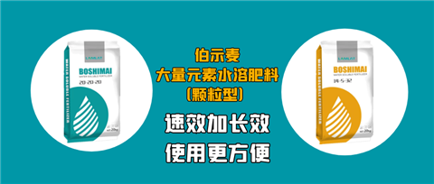 顆粒肥，拉姆拉，翠姆