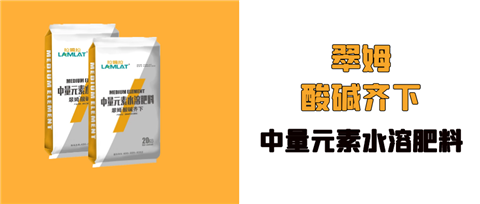 水溶肥，拉姆拉，翠姆